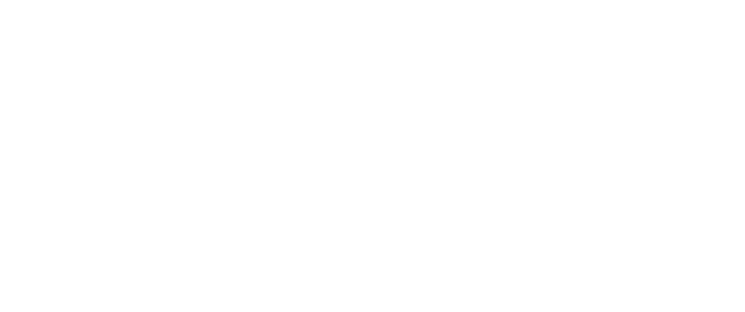 לוגו קבוצת "ריפס מעליות"